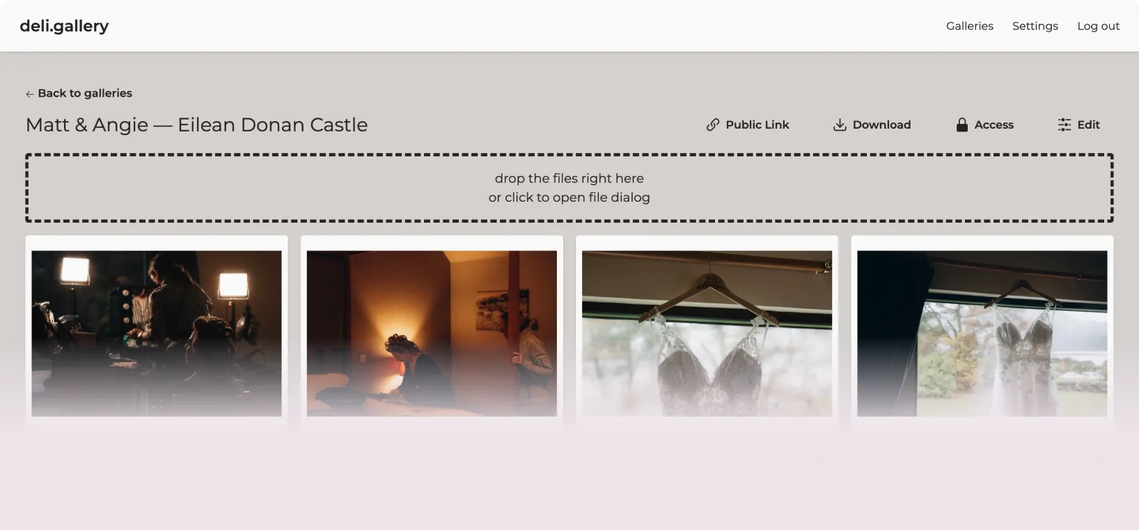 The deli.gallery dashboard showing a gallery with Public Link, Download, Access and Edit controls
